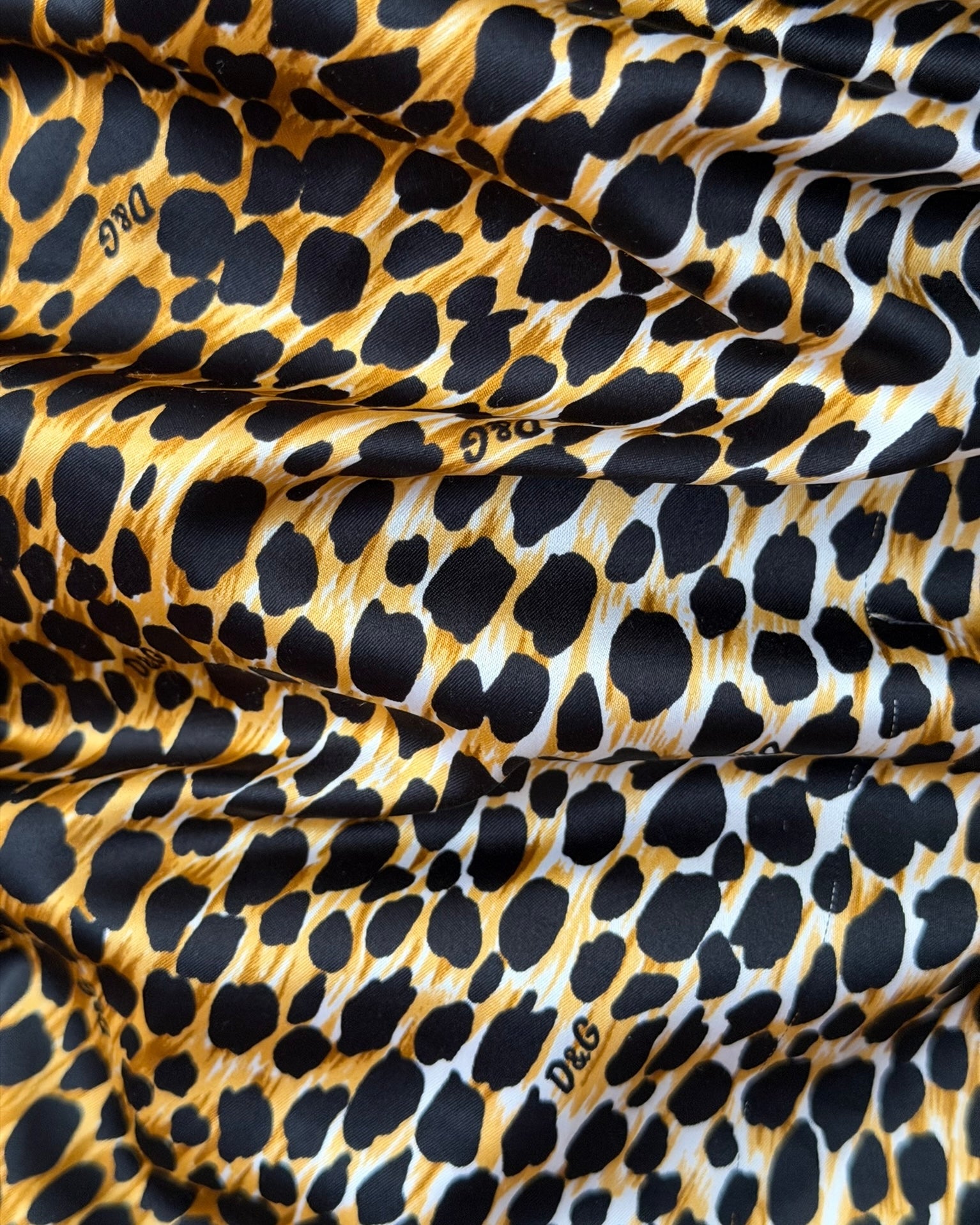 Dolce & Gabbana Leopard Bustier
